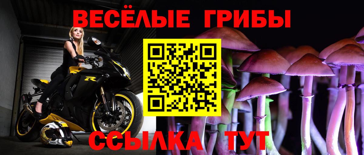 Псилоцибиновые грибы прущие грибы Котовск