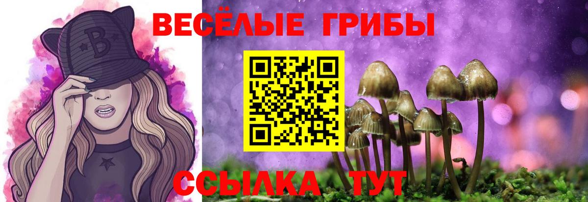 Псилоцибиновые грибы ЛСД Котовск