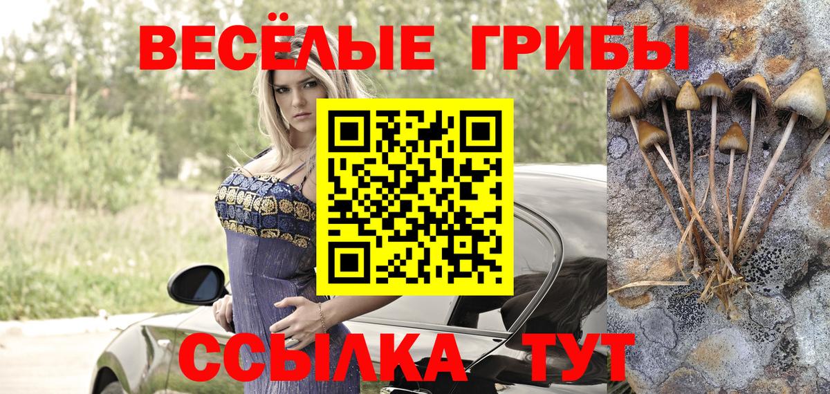 Псилоцибиновые грибы GOLDEN TEACHER  Вход с VPN  Котовск 
