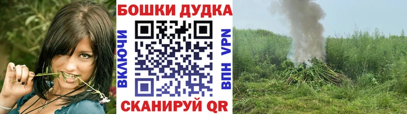 Канабис MAZAR это какой сайт Котовск продажа наркотиков omg рабочий сайт