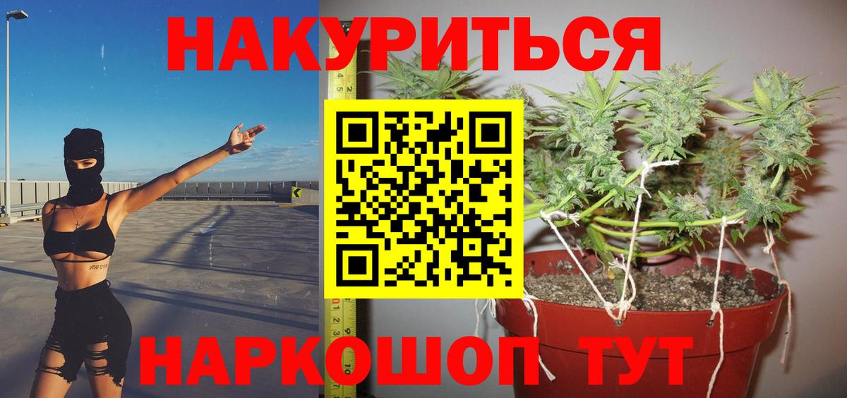 Котовск  МАРИХУАНА планчик  Шишки марихуана MAZAR  Вход с VPN 